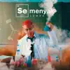 SEMENYAK - химия - Single